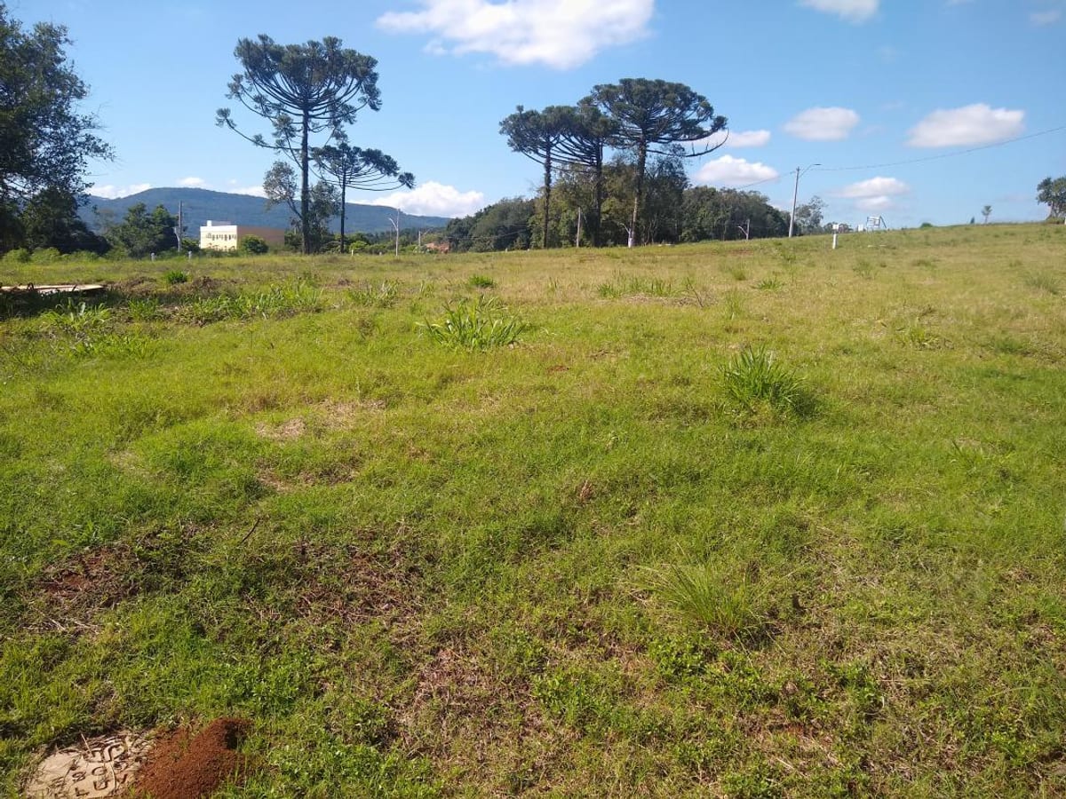 Terreno em Ivoti | 582m² | novo loteamento | próximo ao centro